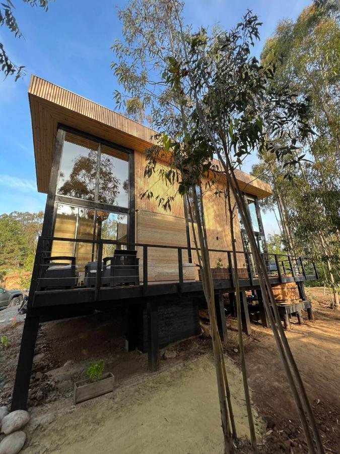 Tripanko Lodge & Bungalows Pichilemu Eksteriør billede