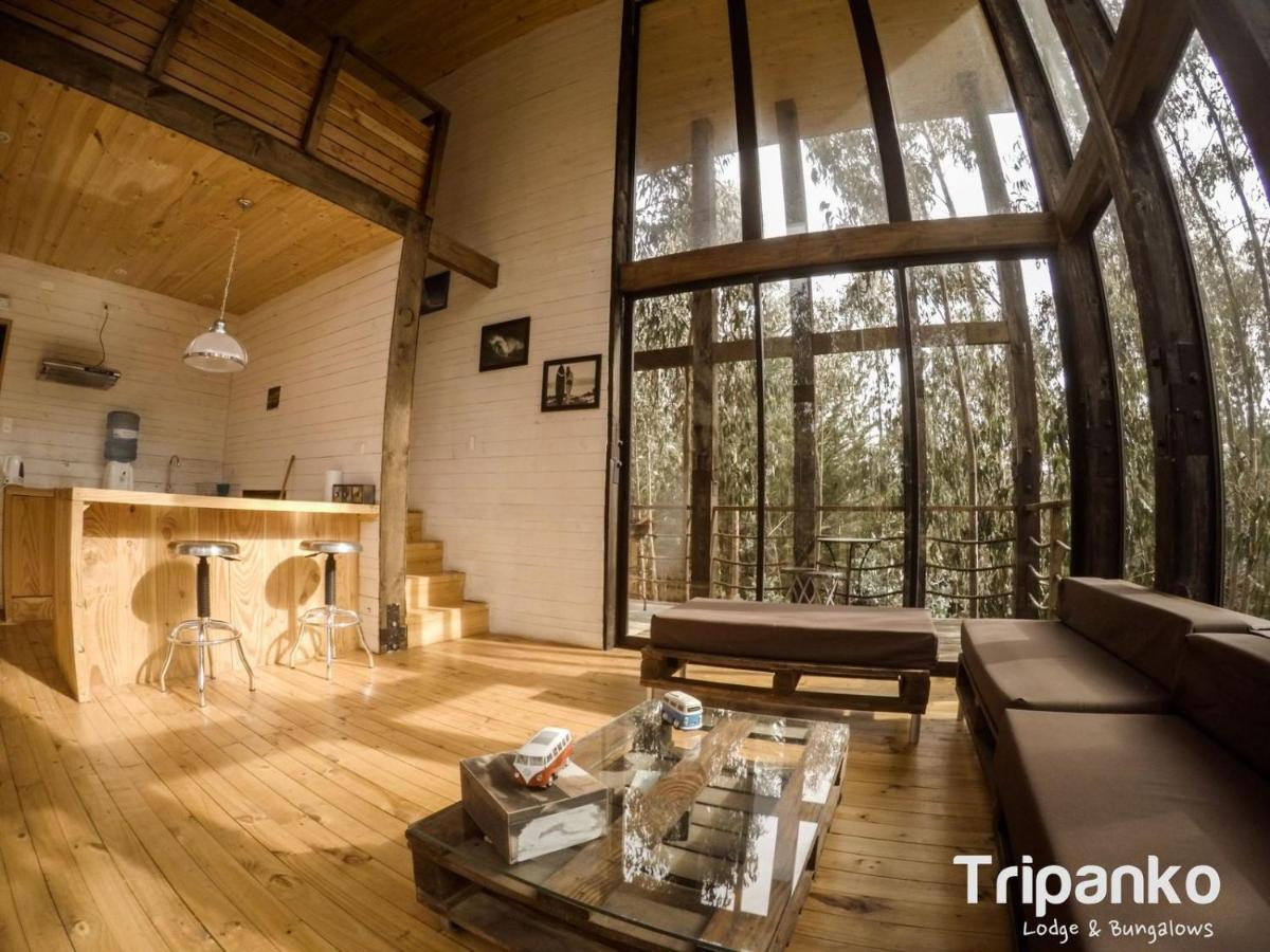 Tripanko Lodge & Bungalows Pichilemu Eksteriør billede