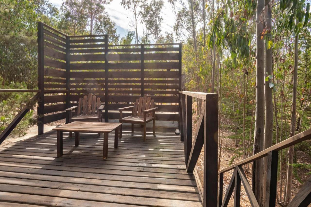 Tripanko Lodge & Bungalows Pichilemu Eksteriør billede