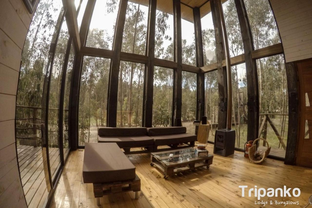 Tripanko Lodge & Bungalows Pichilemu Eksteriør billede