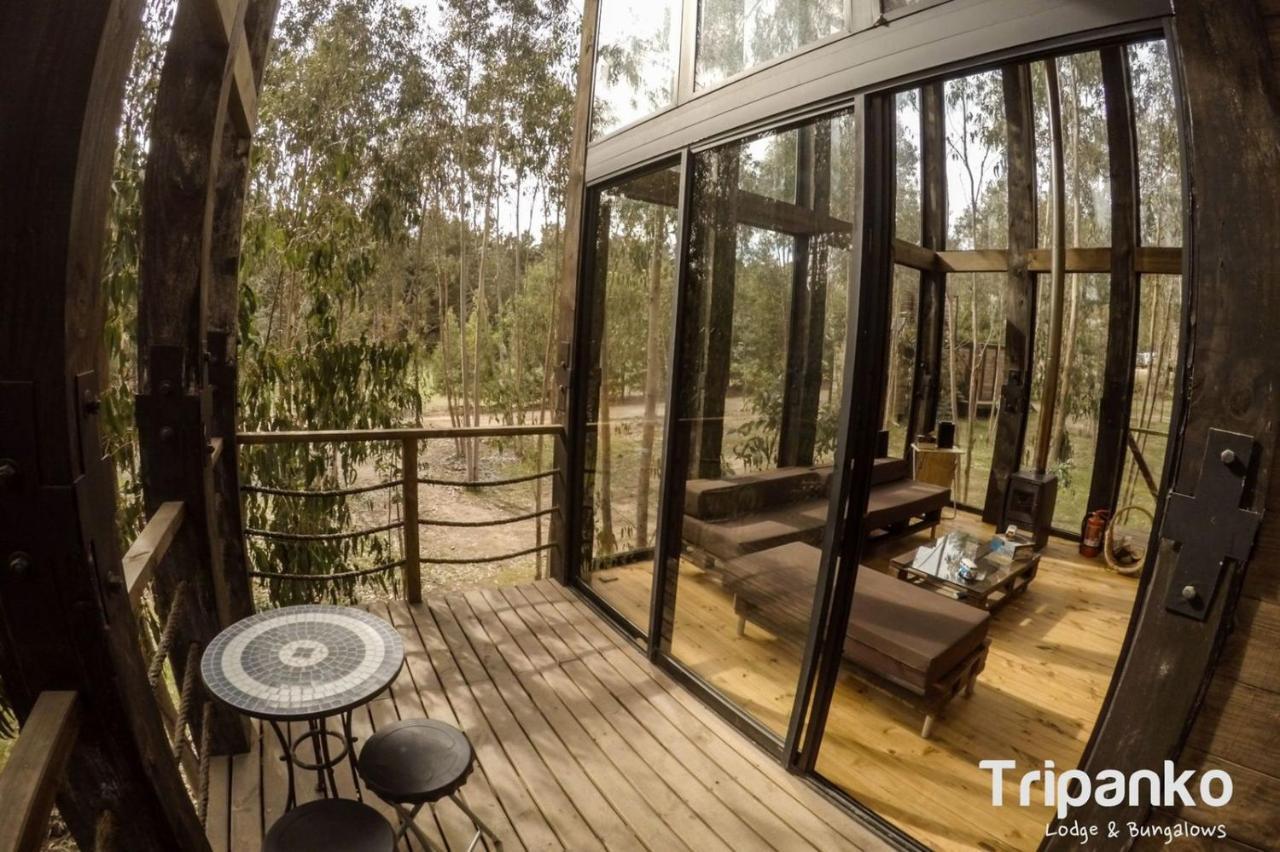 Tripanko Lodge & Bungalows Pichilemu Eksteriør billede