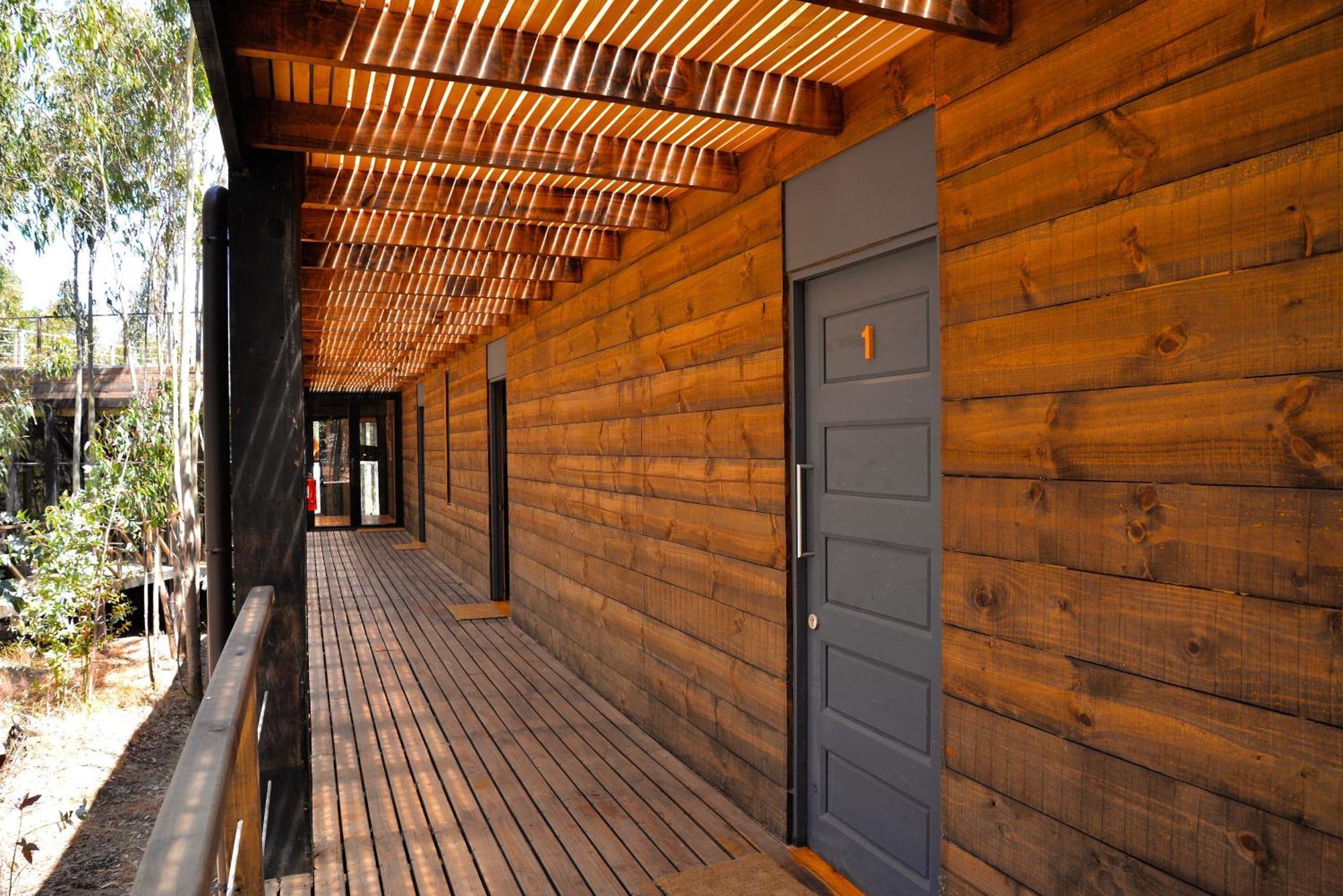 Tripanko Lodge & Bungalows Pichilemu Værelse billede