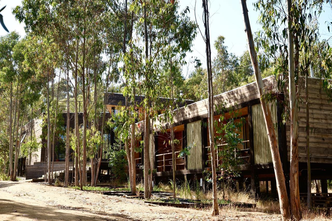 Tripanko Lodge & Bungalows Pichilemu Eksteriør billede