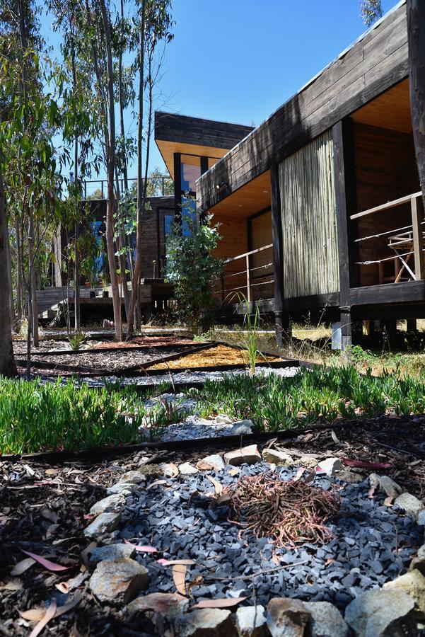 Tripanko Lodge & Bungalows Pichilemu Eksteriør billede