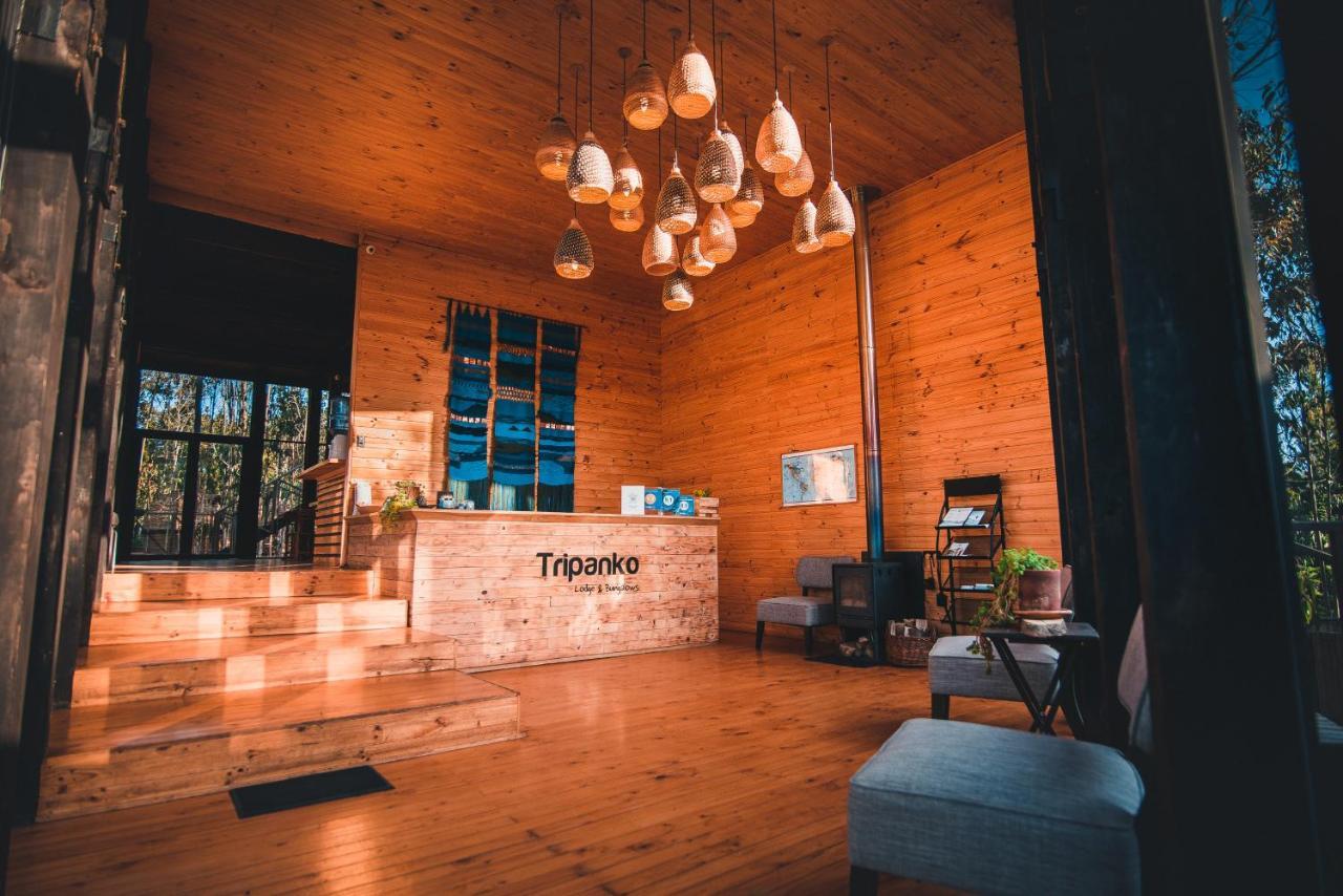 Tripanko Lodge & Bungalows Pichilemu Eksteriør billede